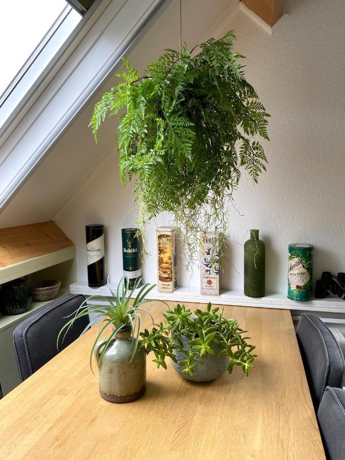 Apartment De Vliegenzwam Oostwoud Buitenkant foto